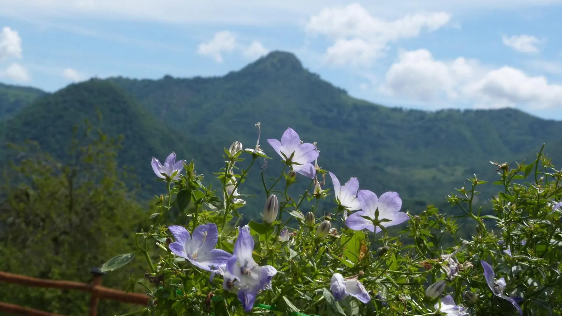 Giardino Tra I Laghi Bed & Breakfast San Fedele Intelvi 0*,  Italy